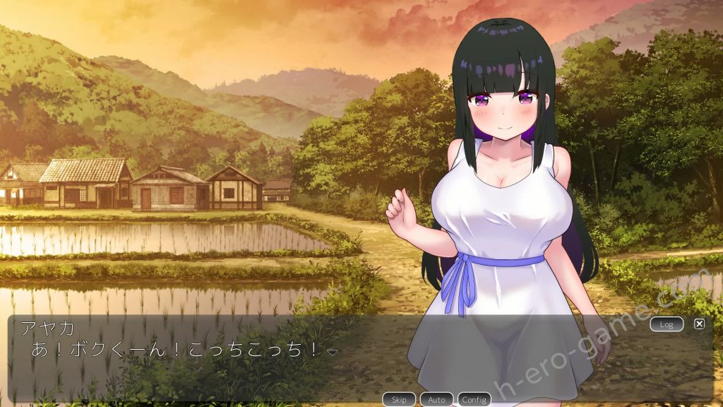 [GoatmanBB] ボクのセクハラは大体許してくれる従姉を孕ませる夏休みSLG