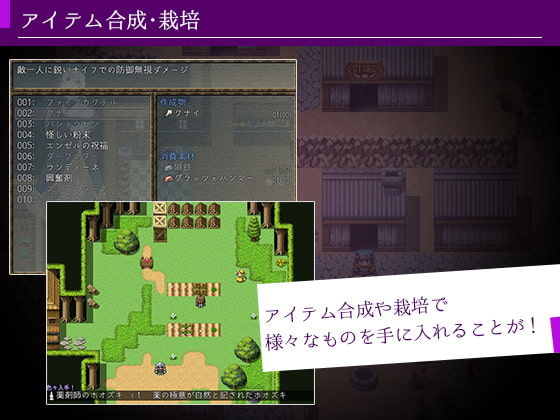 [ゆめなまこん] 莉莎與慾望的魔導書