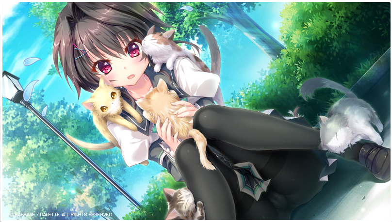 [ぱれっと] 9-nine-雪色雪花雪之痕