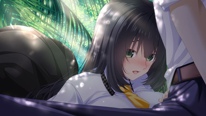 [evoLL] 南国プリズン 〜漂流した無人島が子作りしないと出られない島だった件〜