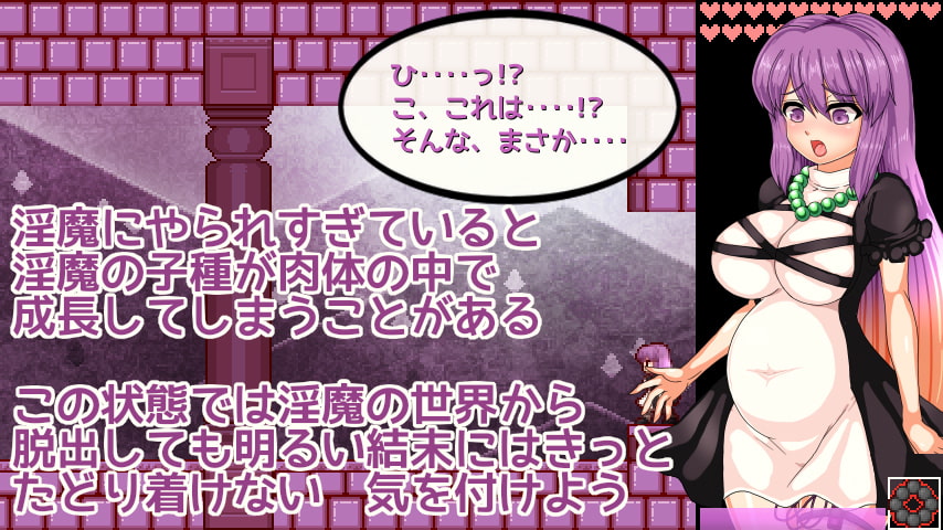 [第N本舗] 聖白蓮と淫魔の魔城