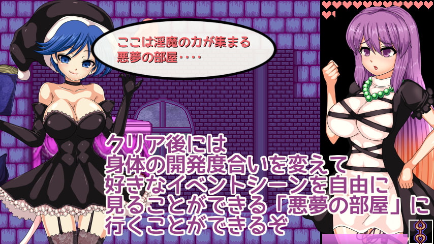 [第N本舗] 聖白蓮と淫魔の魔城