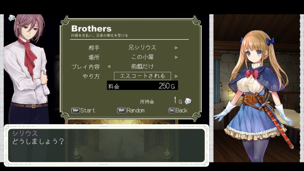 [PICOPICOSOFT] 少女騎士救主記