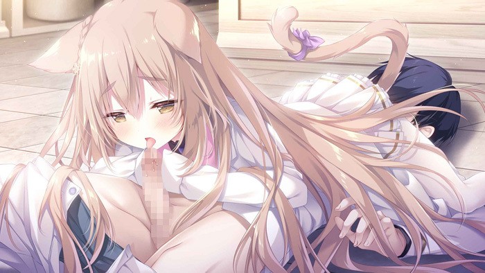 [きゃべつそふと] ジュエリー・ハーツ・アカデミア -We will wing wonder world-