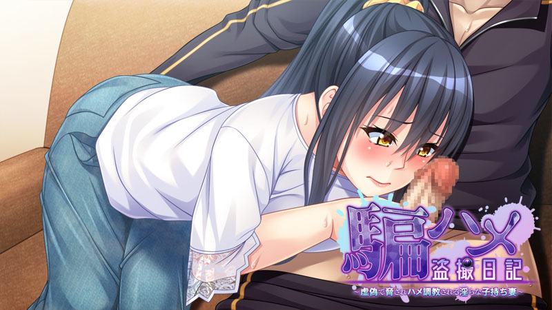 [TRYSET Break] 騙ハメ盗撮日記 ～虚偽で脅されハメ調教される淫らな子持ち妻～