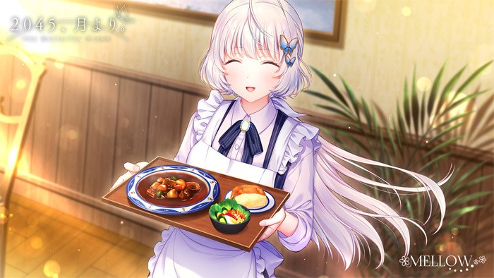 [MELLOW] 2045、月より。