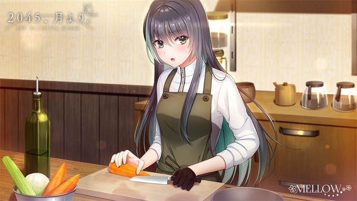 [MELLOW] 2045、月より。