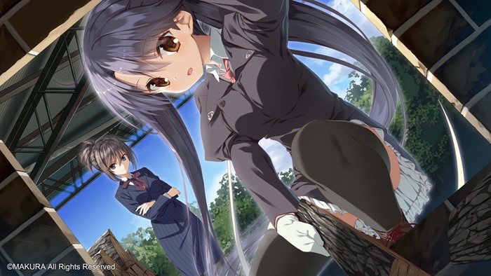 [枕] サクラノ刻 －櫻の森の下を歩む－