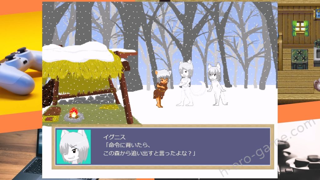 [さす幻] ferns bloom