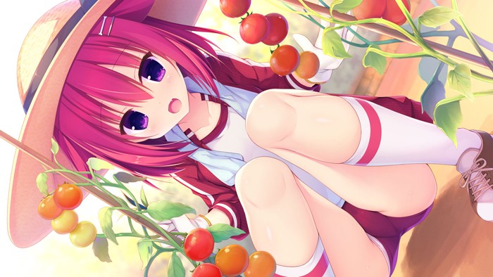 [まどそふと] 樹莓立方體