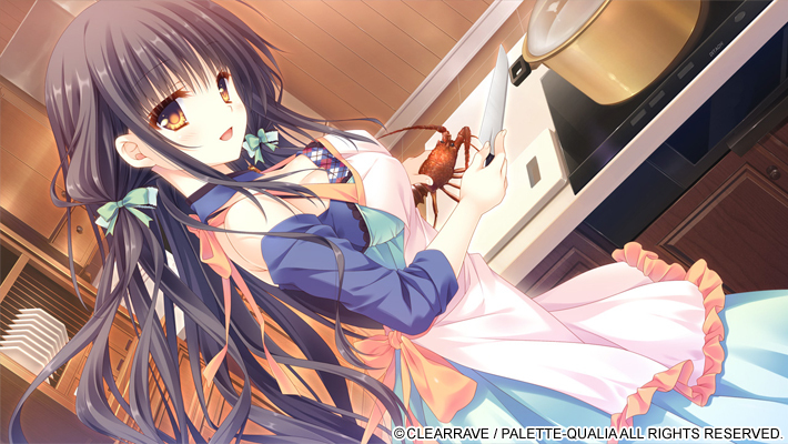 [ぱれっとクオリア] 少女＊領域