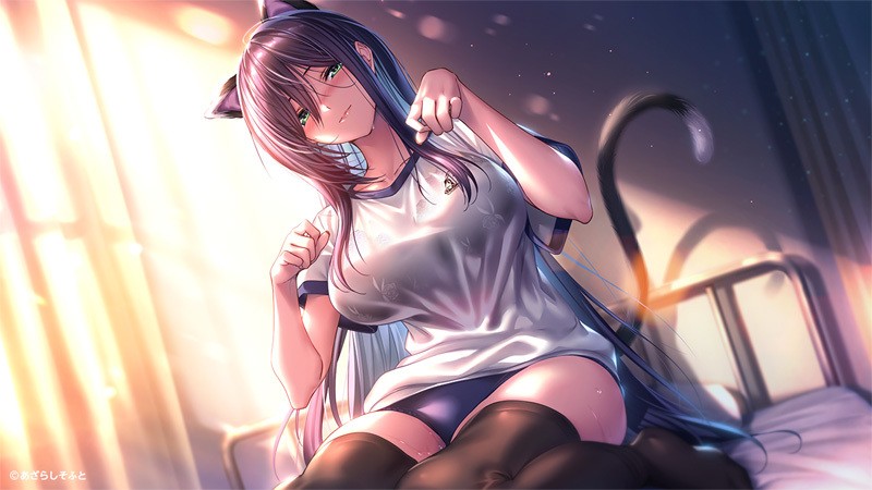 [あざらしそふと] アマカノ２＋