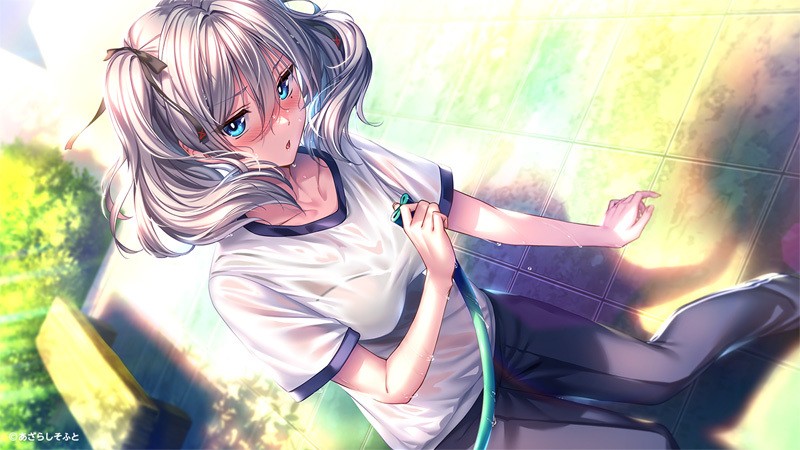 [あざらしそふと] アマカノ２＋