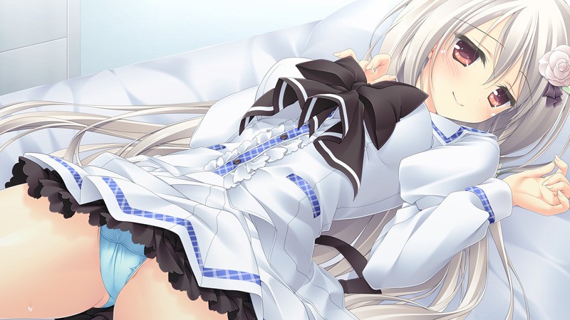 [HOOKSOFT(HOOK)] PriministAr -プライミニスター- フルHDリマスター