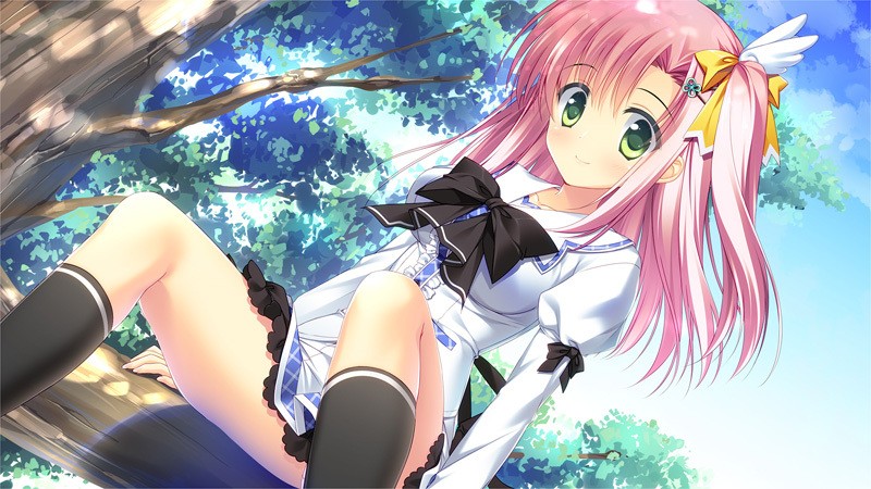 [HOOKSOFT(HOOK)] PriministAr -プライミニスター- フルHDリマスター