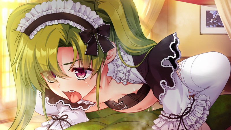 [CHAOS-R feat. Freak Strike] 進軍ゴブリン軍団2～淫獣軍VS. INTRUDER～