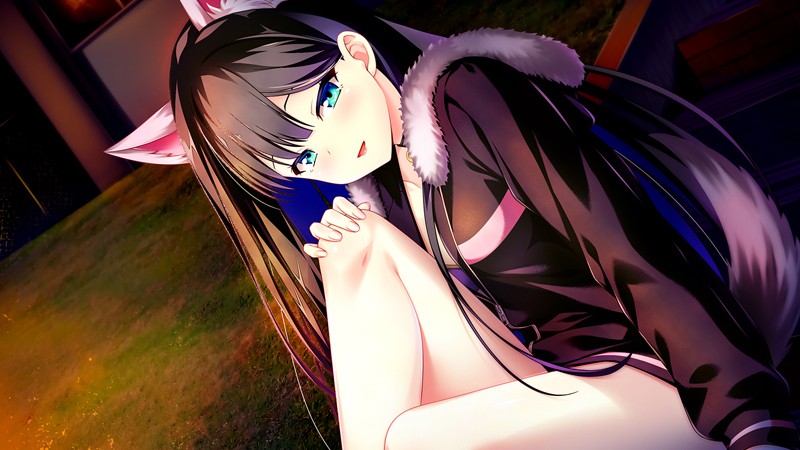 [HOOKSOFT(HOOK)] 放課後シンデレラ2 ミニファンディスク