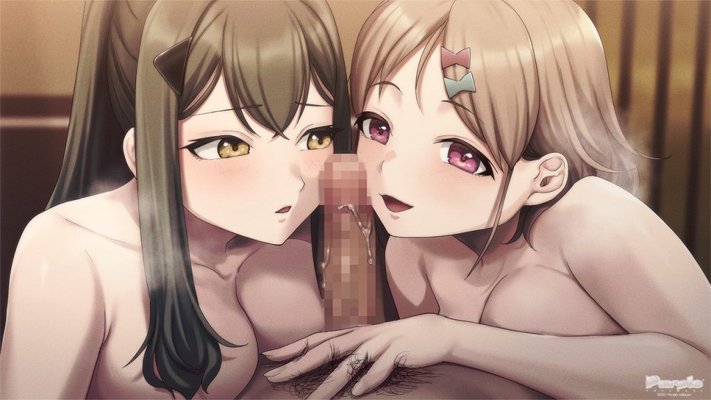 [Purple software] クリミナルボーダー 2nd offence