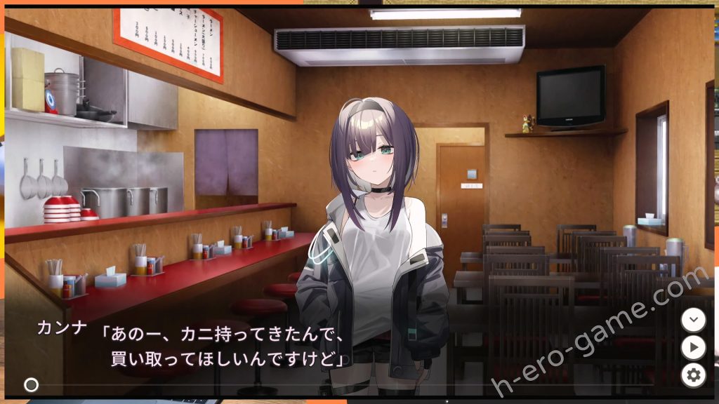 [AleCubicSoft] Dead-End City：退廃の街の少女