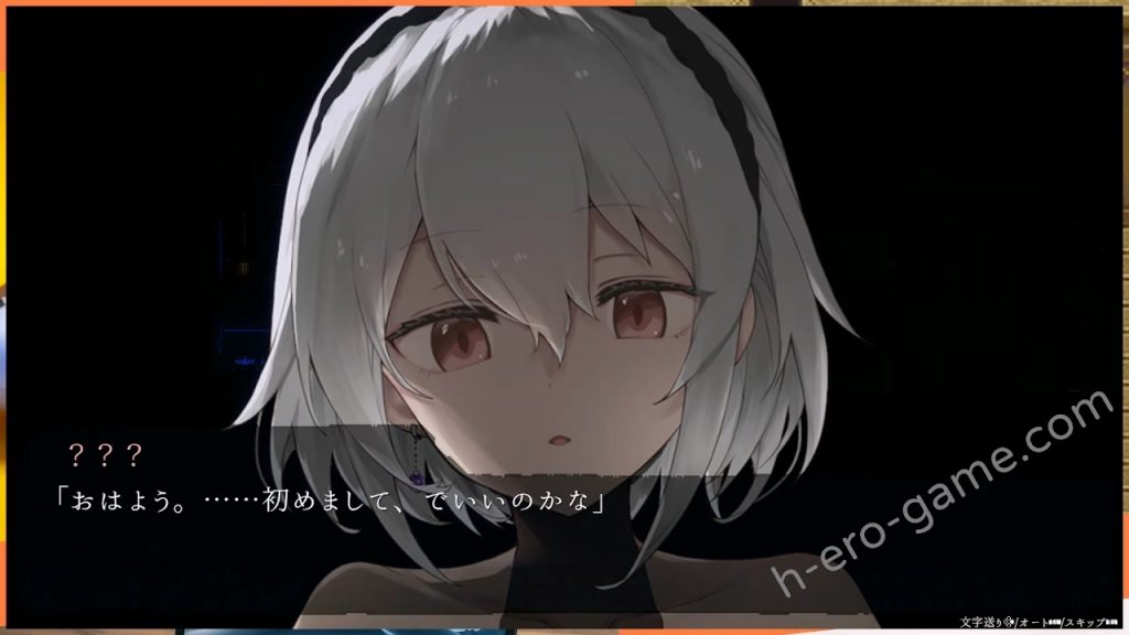 [すてねこLAB.] DECOY 群青の魔女